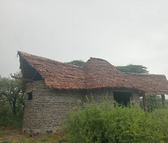 Re-thatching Services